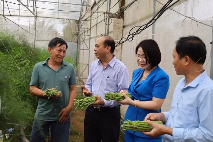 Ông Lê Văn Hồng, Chi hội trưởng nông dân thôn Trung Phú, xã Hậu Lộc (ngoài cùng bên trái) chia sẻ kinh nghiệm thực tế về mô hình trồng măng tây.