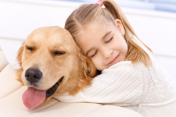 Việc vệ sinh nơi ở và diệt bọ chét trên thú cưng là chìa khóa quan trọng để phòng bệnh hiệu quả.