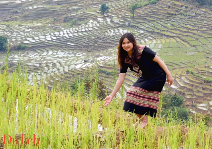 Cảnh sắc Măng Ri mùa lúa chín