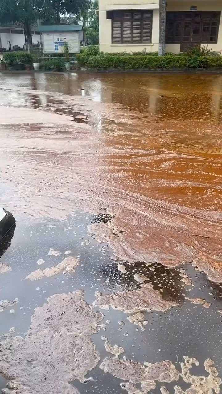 Công nhân thu gom mật mía tràn ra khuôn viên