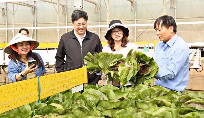 GS.TS Nguyễn Thị Thanh Mai, Giám đốc Đại học Quốc gia TP. Hồ Chí Minh khảo sát các giống rau, cây trồng tại trang trại rau công nghệ cao tại Lâm Đồng