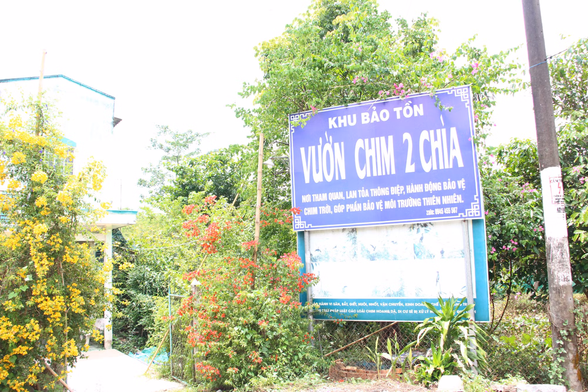 Hệ sinh thái đa dạng tại vườn chim Hai Chìa cần được bảo vệ