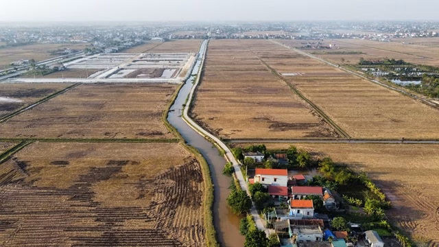 Phiên đấu giá quyền sử dụng đất 154 lô tại xóm Ân Hòa 13, xã Kim Sơn (tỉnh Ninh Bình) ghi nhận tỷ lệ bỏ cọc lên tới 66%. Ảnh: Phan Thiên.