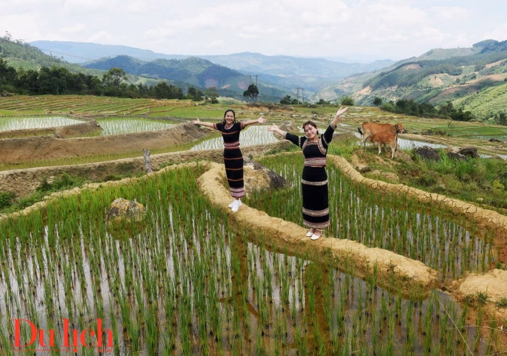 Hoàng hôn trên ruộng bậc thang Măng Ri