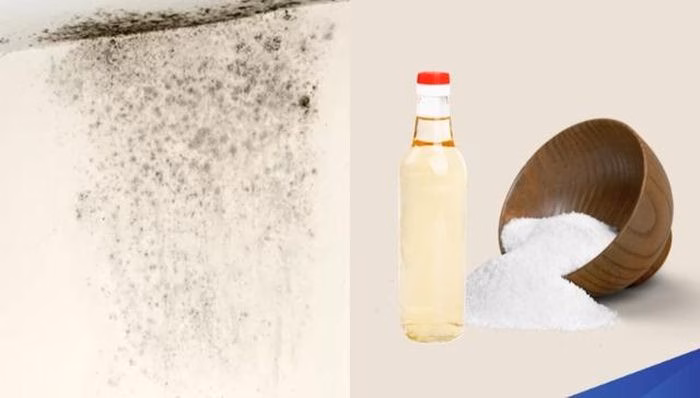Phản ứng sủi bọt giữa giấm và baking soda giúp đẩy nấm mốc ra khỏi các kẽ hở của bề mặt trần.