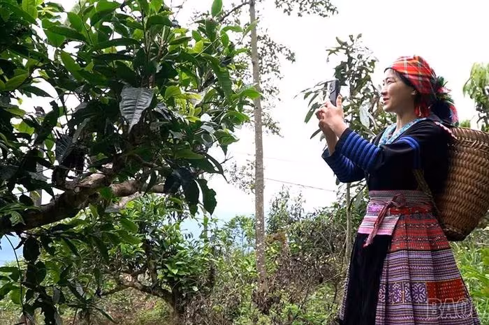 Kể chuyện quê hương trên không gian số