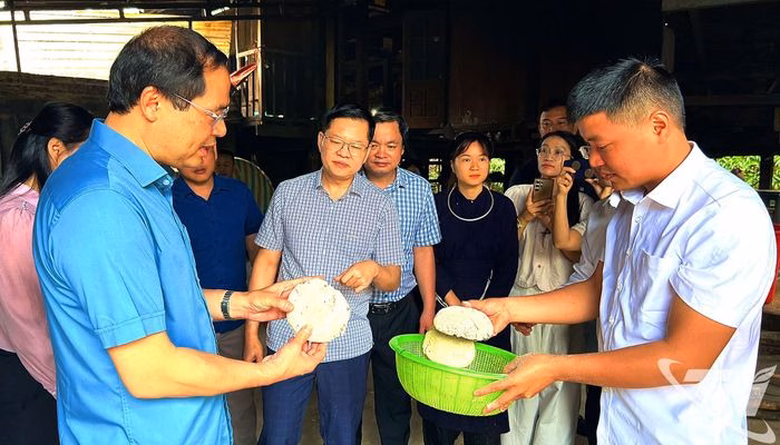 Tìm hiểu quy trình sản xuất rượu men lá để tích hợp vào sản phẩm du lịch trải nghiệm.