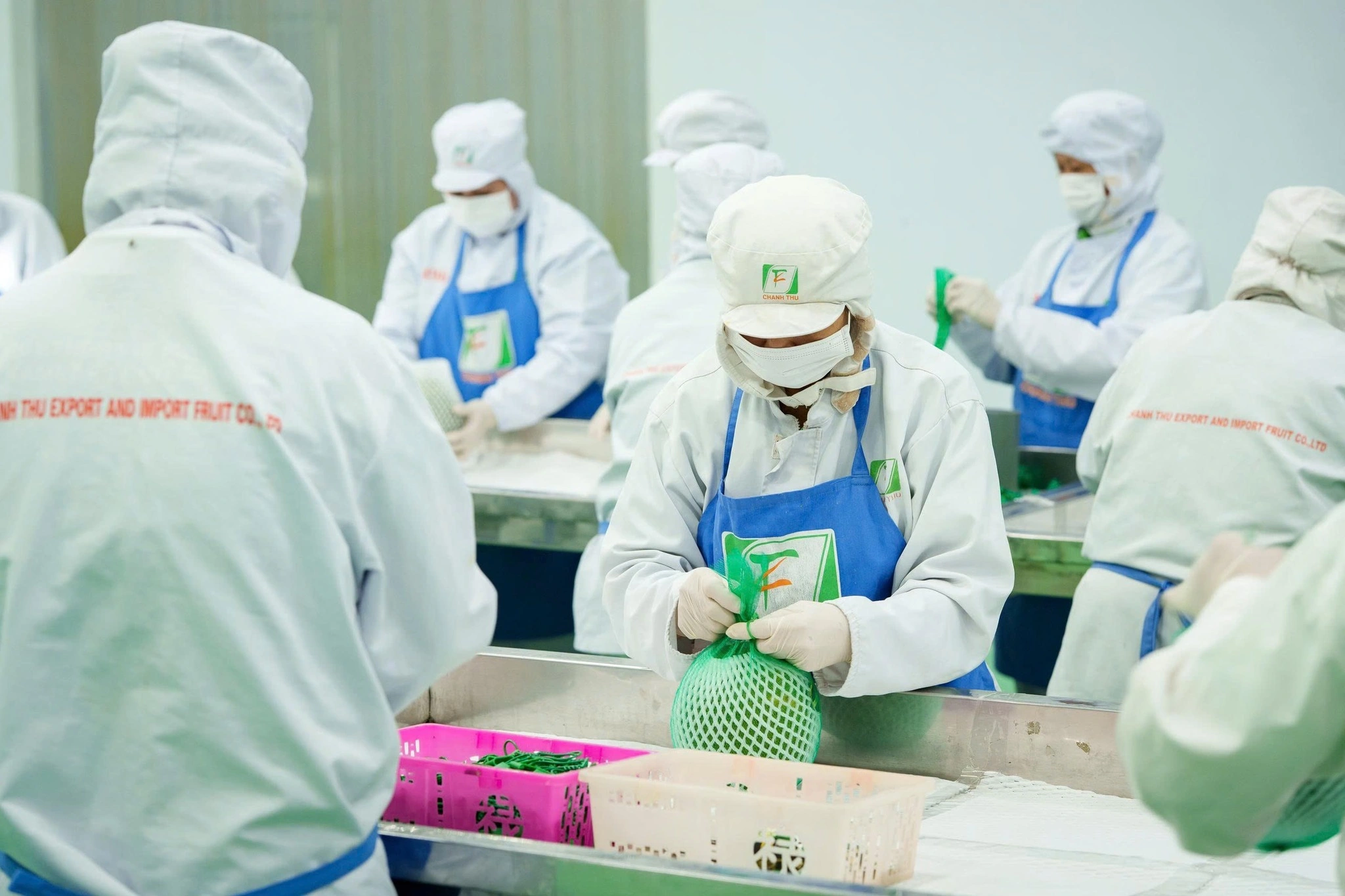 Kiểm soát toàn diện từ vùng trồng đến nhà máy chế biến là cách duy nhất để doanh nghiệp thoát khỏi rủi ro bị "cấm cửa".