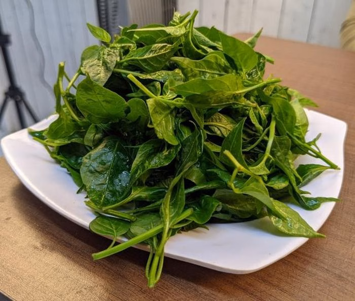 Nên chọn những phần lá non và đọt cây để món ăn mềm và thơm ngon hơn.