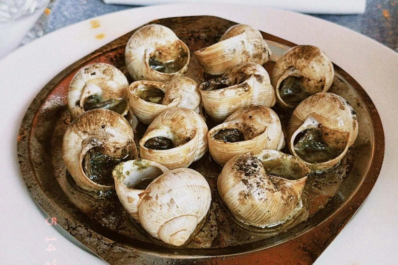 Escargot - sự kết hợp hoàn hảo giữa nguyên liệu bình dân và kỹ thuật chế biến cao cấp (Ảnh: Facebook nhân vật).