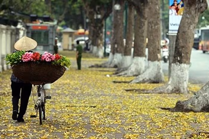 Ngày mai phố còn như cũ