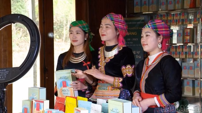 Nội dung về cây chè Shan tuyết không chỉ quảng bá văn hóa mà còn thúc đẩy tiêu thụ nông sản địa phương.