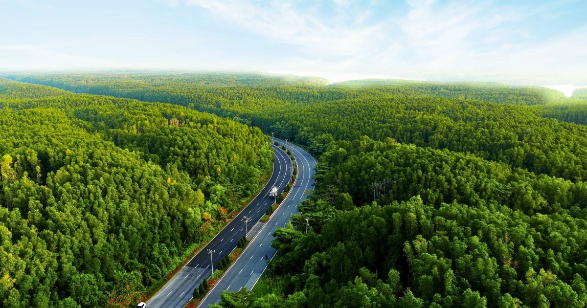 Vinhomes Green Paradise: Nơi ngôi nhà ‘mở ra thế giới’, nơi thế giới khát khao tìm về