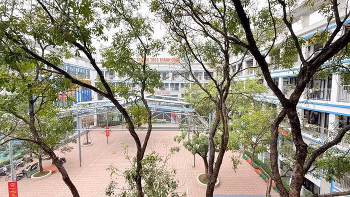 Một góc Trường THCS Thành Công.