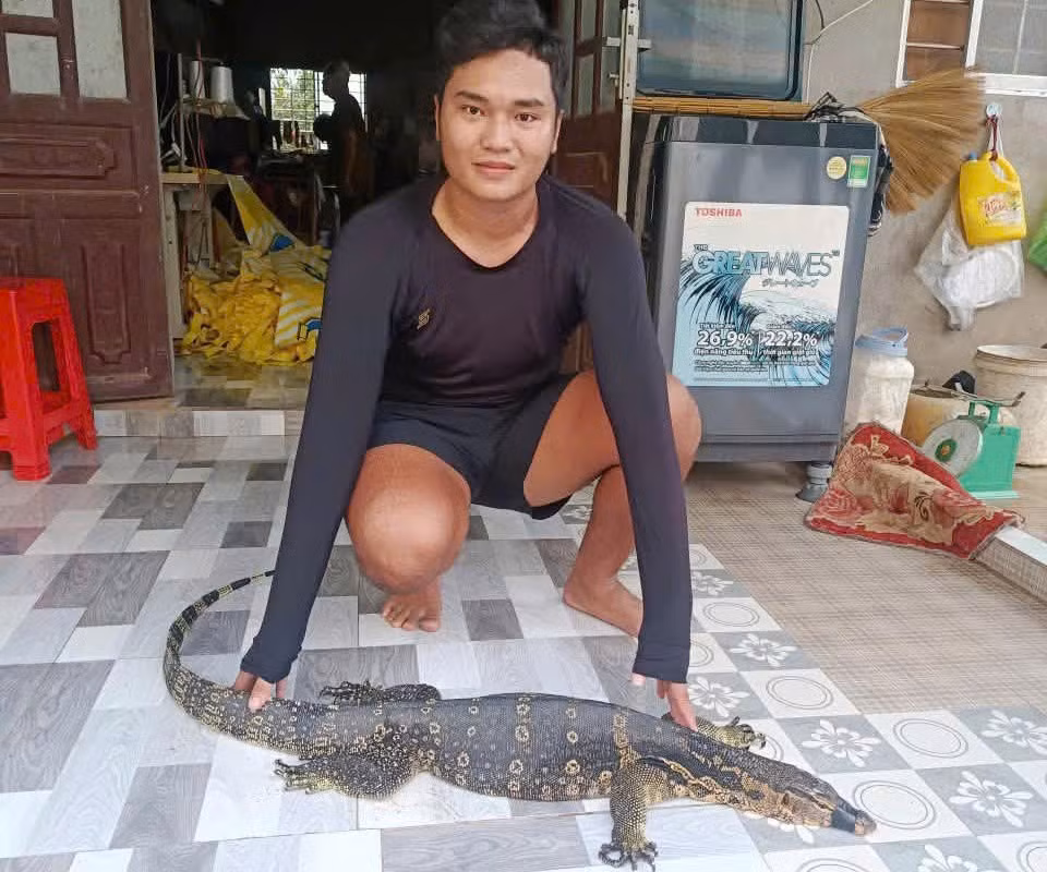 Người dân phát hiện cá thể kỳ đà hoa phía sau nhà. Ảnh: CTV