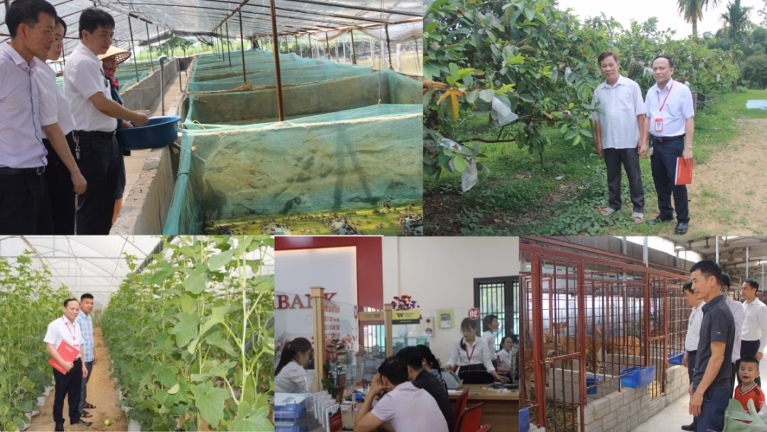 Cán bộ tín dụng đồng hành cùng nông dân