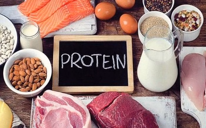 Protein là thành phần quan trọng để tái tạo cấu trúc dây chằng.