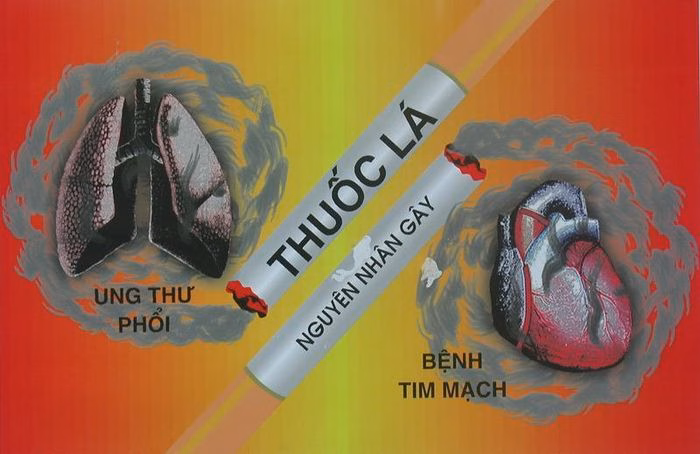Tổ chức Y tế Thế giới khẳng định rằng không có bất kỳ sản phẩm chứa nicotine nào là an toàn cho sức khỏe.
